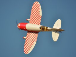 Flugtag 2022